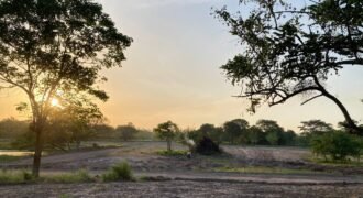 PROYECTO CAMPESTRE LA PROSPERIDAD – SABANAGRANDE ATLÁNTICO